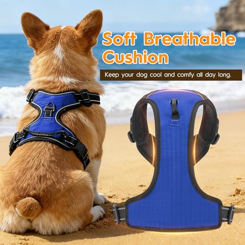 No Pull Dog Harness, No Chock Reflective Adjustable Soft Padded Pet Vest with Easy Control Handle, Easy Wearing with Stylish, Reinforced Knot, 2 Buckles - color: Dazzling Blue, size: X-Small