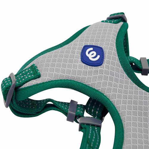 Blueberry Pet Essentials Back to Basics Reflective Dog Harness Vest, Dark Green, Medium, Adjustable Harnesses for Dogs - color: Dark Green, size: Medium (Pack of 1)