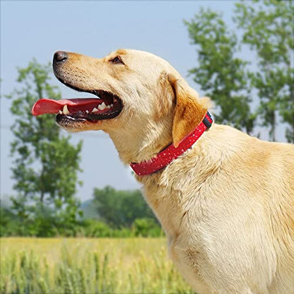 TDTOK Glittering Basic Dog Collar, Comfy & Durable Dog Collar for Small Medium Large Dogs with Eco-Friendly Plastic Buckle, Adjustable Stylish Nylon Dog Collars, Fit Necks: 9.8-22.4’’ (L, Red) - color: Red, size: L
