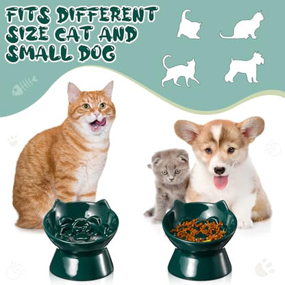Funnymoom 2 Pcs Ceramic Raised Slow Feeder Cat Bowl, 5.91inch Elevated Cat Slow Feeder Bowl Tilted Anti Vomiting for Dry Wet Food and Water Easy to Clean High Edge(Dark Green) - color: Dark Green