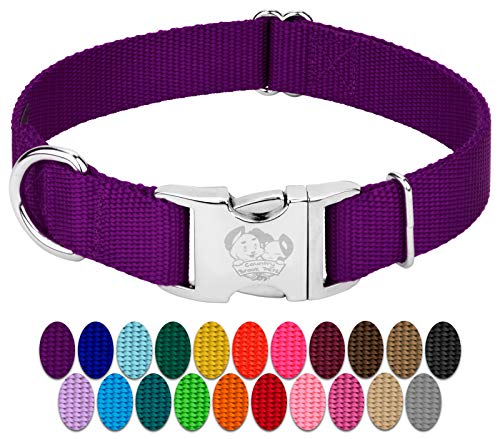 Country Brook Petz - Premium Nylon Dog Collar with Metal Buckle for Small Medium Large Breeds - 10+ Cool Colors (Medium, 3/4 Inch, Purple) - color: Purple, size: Medium (Pack of 1)