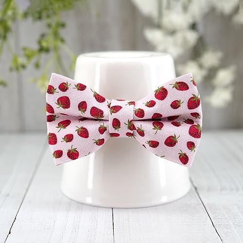 Ultra Joys Breakaway Cat Collar with Bells - Kitten Collar with Bowtie Strawberry Small - color: Strawberry-Bowtie Collar, size: Small
