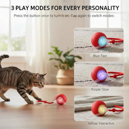 Interactive Cat Toys Ball for Cats - Upgrade Automatic Cat Toys for Indoor Cats, Chirping Cat Toy, 3 Modes 2 Speed Moving Cat Ball with Dragonfly Feathers 2PCS (Red Blue) - color: RedBlue-3