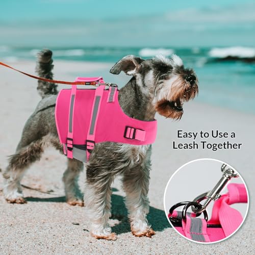 Queenmore Small Dog Life Jacket - Adjustable Reflective Lifesaver Vest with Back Zip, Rescue Handle, Leash Hook (Fuchsia S) - color: Fuchsia, size: Small