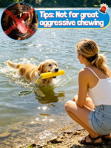 MEWTOGO 2 Pack Interactive Dog Pool Toys - Water Floating Toys for Medium Large Dogs, Fetch Training Bumpers for Lake Beach Pet Enjoyment
