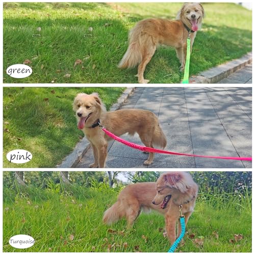 Bungee Dog Leash- 5FT Shock Absorbing & Reflective Nylon Leash | Anti-Pull Training for Small/Medium Dogs | 2cm Wide, 6 Colors (Teal) - color: Teal
