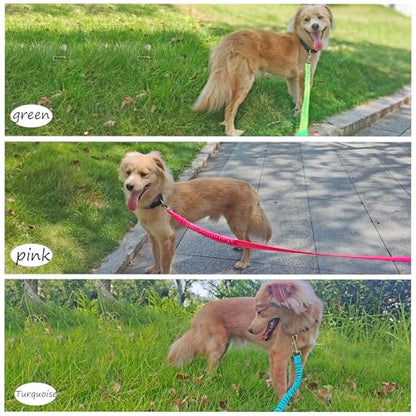 Bungee Dog Leash- 5FT Shock Absorbing & Reflective Nylon Leash | Anti-Pull Training for Small/Medium Dogs | 2cm Wide, 6 Colors (Pink) - color: Pink