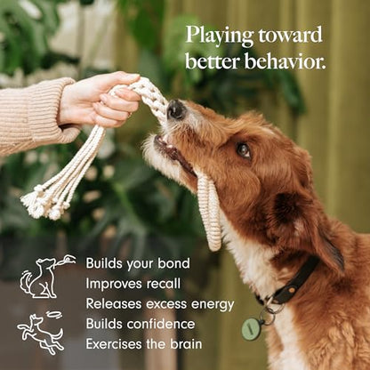 LAY LO Natural Cotton Dog Rope Toy for Small & Medium Dogs, Non-Toxic Rope Toy, 2-Pack Puppy Teething Toy, Durable Boho Dog Toys with Handle