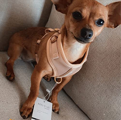 Premium No-Pull Dog Harness Soft Neoprene & Breathable Mesh Vest with Front & Back Clip D-Rings Adjustable Lightweight Walking Harness for Puppies, Small & Medium Dogs (Rose Beige, XXS) - color: Rose Beige, size: XXS: Neck=9.1-13'', Chest=10.6-14.6''