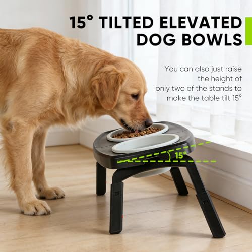 Elevated Dog Bowls Stand, 3 Height Adjustable Raised Dog Bowl with Collapsible Silicone Bowls, Non-Slip Stand for Small, Medium, Large Dogs & Pets