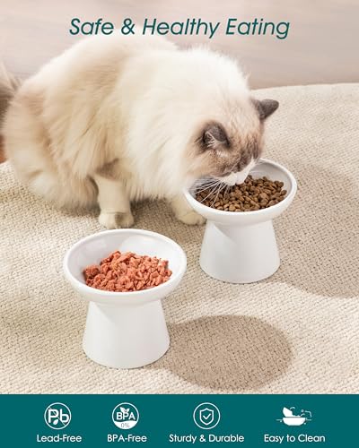 vancasso Elevated Cat Food Bowls 2-Pack, 6.2" Wide Shallow Cat Feeding Bowl for Whisker Fatigue, 5.1" Height Ceramic Raised Food Bowls for Senior Cats, Anti Vomit, White - color: White-Food 2-pack