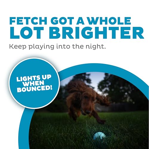 Outward Hound by Planet Dog Strobe Light Up LED Ball Dog Toy, Blue - color: Blue Strobe Toy