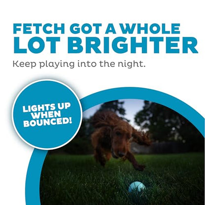 Outward Hound by Planet Dog Strobe Light Up LED Ball Dog Toy, Blue - color: Blue Strobe Toy