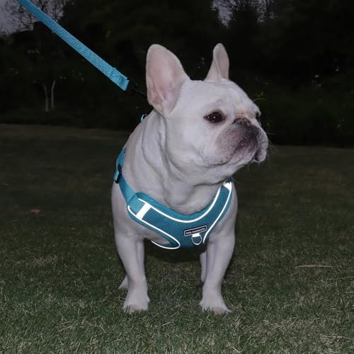 Dog Harness and Leash Set, Adjustable Triangle, Reflective Adjustable Puppy Vest, No Pull Soft Mesh Harness for Small, Medium Dogs, Cats (Turquoise, M) - color: Turquoise, size: M