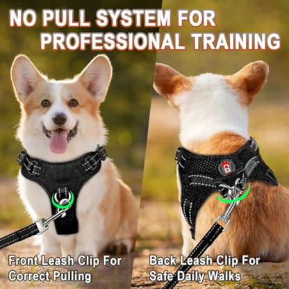 Dog Harness Step in Dog Vest Harness, Reflective Adjustable Puppy No Pull Harness Breathable Soft for Small and Medium Dogs Cats, Black, XXS - color: Black, size: XX-Small