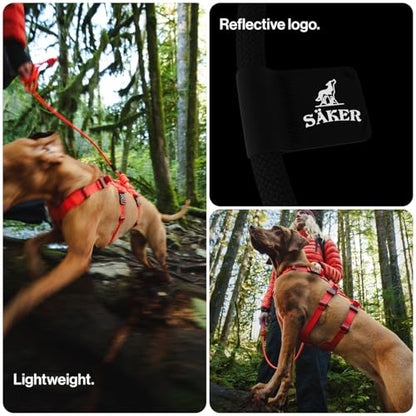 Säker Trust™ Rope Dog Leash – 61” Climbing Rope Lead with 7075 Aluminum Carabiner, Waterproof & Reflective Training Gear for Dogs, Built for Trail Running, Hiking, Everyday Use – Purple - color: Lilas