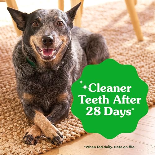 Greenies Veterinarian-Recommended Adult Natural Dental Dog Treats Large Size, Dog Dental Chews, Original Flavor, 54 oz. Pack, 34 Count - size: 34 Count (Pack of 1)