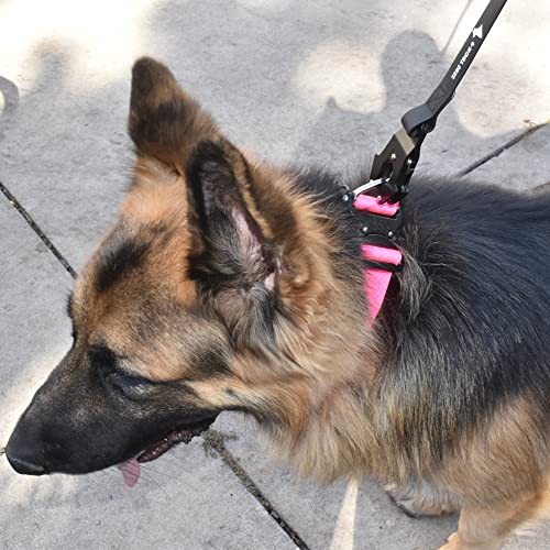 Heavy Duty Waterproof Dog Leash - Large Scissor Frog Quick Release Clasp, PVC Rubber Coated Nylon Training Lead for Large and X-Large Dogs, Odor Free, Durable, Easy to Clean, Nonslip Grip, Secure Hold - size: 6FTSM