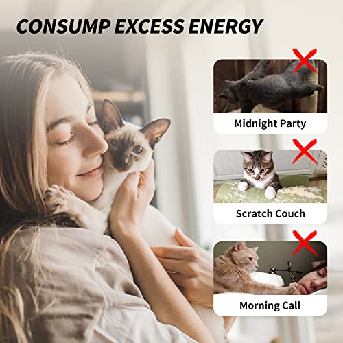 uahpet Natural Feather Cat Toys for Indoor Cats Retractable Kitten Wand 60inch Safe Hunting Distance Interactive Toys for Kittens with 4Pcs Senses Replacement Teasers Arouse Desire to Hunt
