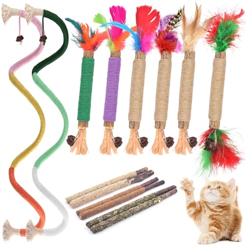TINDTOP Cat Chew Toys, 12 Pack Silvervine Chew Sticks with 2 Pack Chew Ropes for Kittens Teeth Cleaning, Increase Appetite, Aggressive Chewers Cat Dental Toy - color: 14 Pack