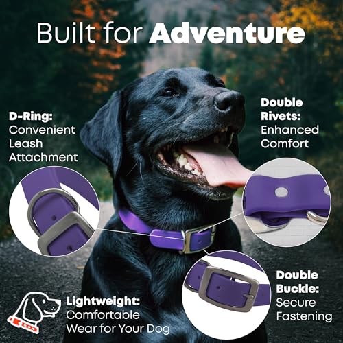 Regal Dog Products Medium Purple Waterproof Dog Collars with Custom Engraved Name Plate | Vinyl Coated, Anti, Easy to Clean Personalized Dog Collar - Other Sizes for Small & Large Dogs - color: Purple, size: Medium Collar