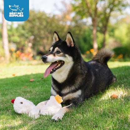 Best Pet Supplies Interactive Squeaky Dog Chew Toy, Ideal Dog Toys for Chewers, Small, Medium & Large Dogs, and Fetch Lovers - Crinkle Chicken (Cream), Large - color: Crinkle Chicken (Cream), size: Large