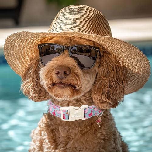 Summer Dog Collar Cute Flamingo Float Dog Collars for Puppy Small Dogs - Lightweight Adjustable Male Female Dogs Everyday Collar with Quick Release Buckle XS - color: Grey Flamingo, size: XS