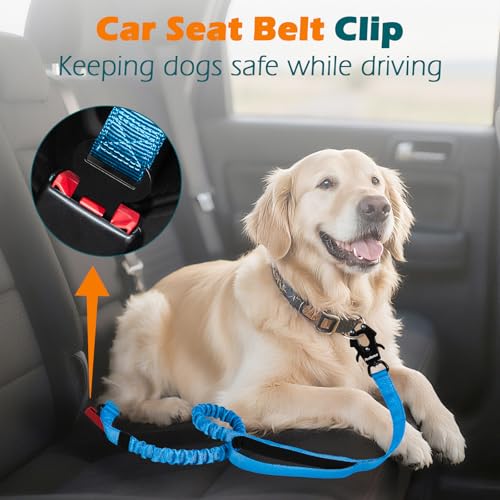 Heavy Duty Tactical Dog Leash, 5 FT Bungee Shock Absorption Leash with 2 Padded Handles, Quick Release Metal Clip, Car Seatbelt, No Pull Training Lead for Large Medium Dogs（Light Blue） - color: Light Blue