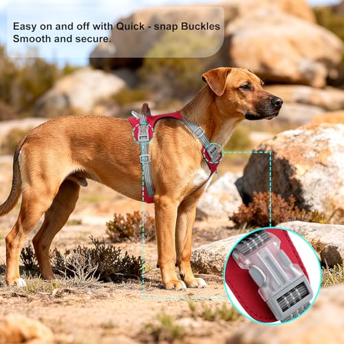 No Pull Dog Harness – Adjustable Reflective Nylon Vest for Small Medium Large Dogs, Escape Proof Training Harness with Leather Control Handle, Lightweight Aluminum Hardware (Red, L) - color: Red, size: L
