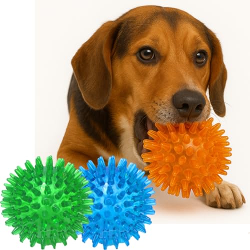 Jalousie Dog Squeaky Toys Value Set Non-Toxic Squeaky Balls Toss Fetch TPR Rubber Puppy Toys Spikey Dog Chew Toy for Small Medium Breed Pet Toys for Puppy (3 Pack Spiky Balls) - color: 3 Pack Spiky Balls