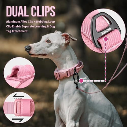 OneTigris Small Dog Collar with Handle, Soft and Adjustable Nylon Collar with Quick-Release Buckle, Lightweight No-Choke Design for Small Dogs(Pink, XS) - color: Pink, size: XS(10"-13")