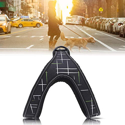 Reflective Dog Harness & Leash Set | Protective Pet Traction Suit for Night Visibility | Adjustable Dog Vest for Small/Medium/Large Breeds | Comfortable Neoprene Lining