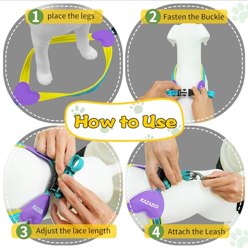 Kazazoo No Pull Small Dog Harness and Leash Set, Adjustable Puppy Soft Vest Harness with Breathable Mesh Padded, Reflective Lightweight Harness with Buckle for Extra Small Medium Dogs, Blue XS - color: Yellow&Blue, size: XS