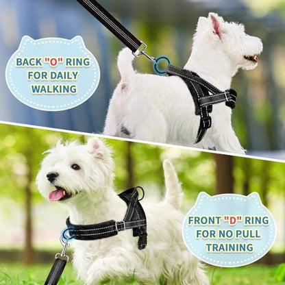 SlowTon No Pull Small Dog Harness and Leash Set, Puppy Soft Vest Harness Neck & Chest Adjustable, Reflective Lightweight Harness & Anti-Twist Pet Lead Combo for Small Medium Dogs (Black, S) - color: A-Black - With Front Clip, size: Small