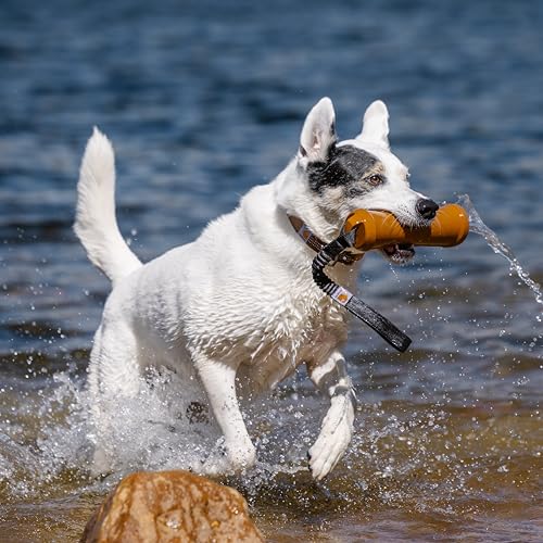 Carhartt Pet Training Tools, Rugged Dog Tool for Tug, Fetch and Play, Field Dog Training Throw (Carhartt Brown) - color: Field Dog Training Throw (Carhartt Brown)