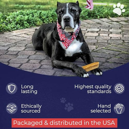 Devil Dog Pet Co. Himalayan Yak Cheese Dog Chews for Small to Medium Breeds & Aggressive Chewers - Long Lasting, Rawhide Free, High Protein - Cleaner Teeth, Anxiety & Boredom Relief - 4 Pack - style: Medium - 4 Pack