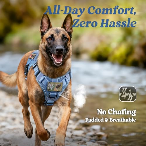 rabbitgoo Tactical Dog Harness Medium Sized, No Pull Upgraded Reflective Heavy Duty Molle Vest with Handle, Adjustable Military Service Dog Vest for Walking Hiking Training, Blue, M - color: Blue Reflective, size: Medium