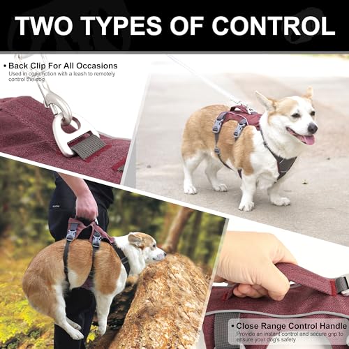 Escape Proof Dog Harness with Handle - Reflective No Pull Dog Vest, Lightweight Full Body Pet Harness Adjustable for Small Dogs Walking,Training(Maroon,Chest:14-22") - color: Maroon, size: XS: Chest 14-22", Fit 8-12 lbs