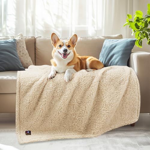 Luciphia Waterproof Pet Blanket for Medium Large Dogs Soft Cat Sherpa Calming Thick Cover Leakproof Cozy Puppy Sofa Bed Car Couch Protector(Beige,41x31 inches) - color: Beige, size: 41x31 inches
