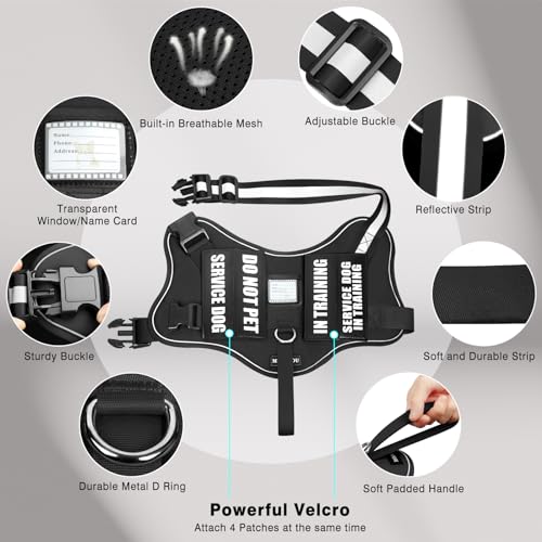 Service Dog Vest Harness and Leash Set+10 Patches,No Pull&Easy Walk Reflective Dog Harness with Soft Padded Handle for Training/Everyday,Fit Small/Medium/Large/Extra-Large Dogs (Black L) - color: Black, size: Large
