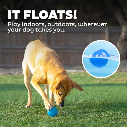 Outward Hound by Planet Dog Squeak Ball Bouncy Fetch Dog Toy, Blue - color: Blue Squeak Toy