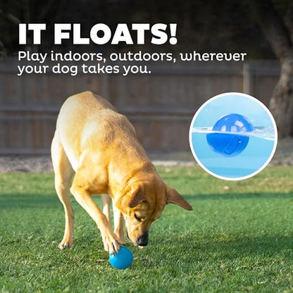 Outward Hound by Planet Dog Squeak Ball Bouncy Fetch Dog Toy, Blue - color: Blue Squeak Toy