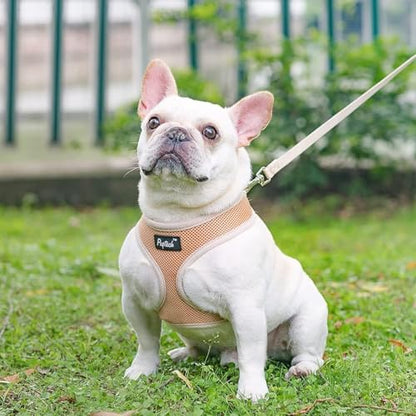 PUPTECK Soft Mesh Dog Harness and Leash Set Pet Puppy Cat Comfort Padded Vest No Pull Harnesses, Solid Beige, XS - color: Solid Beige, size: XS (NECK: 10", CHEST: 10"-14")