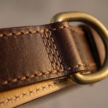 XanYu Premium Genuine Leather Dog Collar – Adjustable Heavy Duty Pet Collar with Sturdy Brass Buckle, Soft Padded & Stylish for Puppy and Small, Medium, Large Dogs (Brown)
