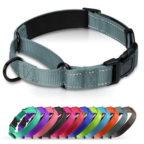 Martingale Collar for Dogs with Quick Release Buckle, Reflective Soft Padded & Escape Proof, Adjustable Nylon Dog Collars for Training & Daily Walking (Grey,S) - color: Grey, size: S:width 3/4"neck 12-14.5"