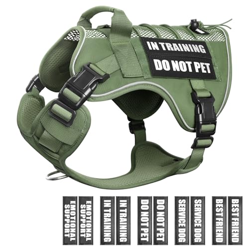 WINSEE Service Dog in Training Mesh Harness with 10 Pet Patches, Soft Air Mesh Breathable Tactical Dog Molle Vest, Reflective Military Pet Vest for Walking Hiking for Large Dogs - color: Green, size: X-Large