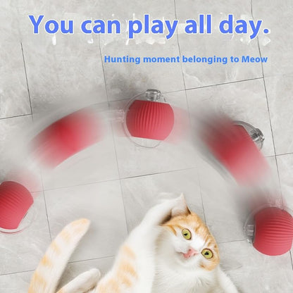 KumCinn Interactive Dog Ball for Small Medium Dogs, Automatic Self Moving Cat Toys Ball for Indoor Cats, 360° Rolling Electric Pet Ball, Fast Smart Motion Activated Toy (Red) - color: Red