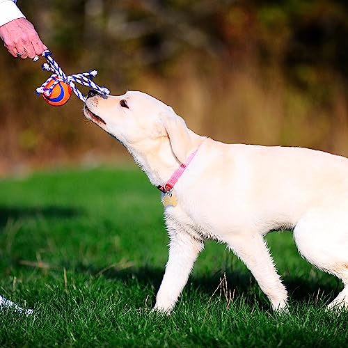 Chuckit! Ultra Toss Dog Toy, Medium Indoor and Outdoor Dog Toy for Dogs 20-60 Pounds - size: Medium, style: Ultra Toss