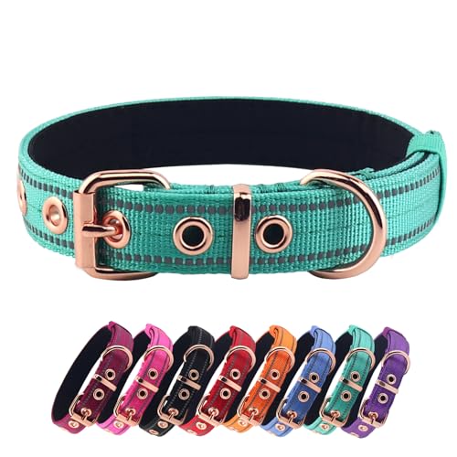 Neoprene Padded Dog Collar, Nylon Collar for Small to Large Dogs, Heavy Duty with Metal Buckle, Reflective(Small, Teal) - color: Teal, size: Small(Pack of 1)