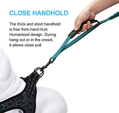 6FT Highly Reflective Heavy Duty Elastic Bungee Medium and Large Dog Leash Shock Absorbing with Comfortable Padded Handle and Traffic Handle Suitable for Training - color: Teal